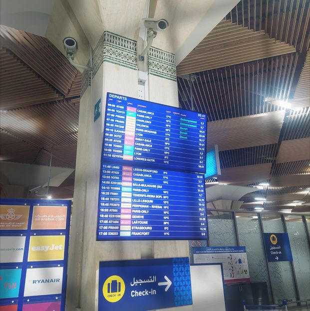 ♡ Day 181 ; 13.05.2025 - Birds of a Feather - STREAK