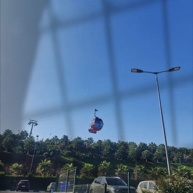 ♡ Day 185 ; 17.05.2025 - Birds of a Feather - STREAK