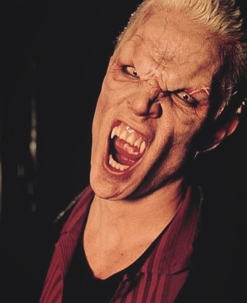 Two peas in a pod. - Collection of Tintypes