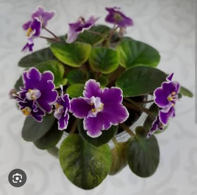  - NK -Neznakomaya Zvezda 2