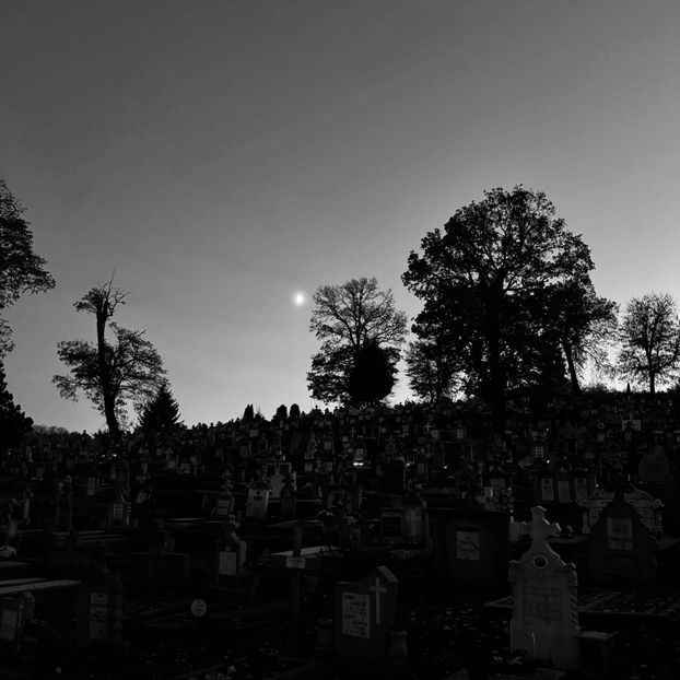  - Collection of Tintypes