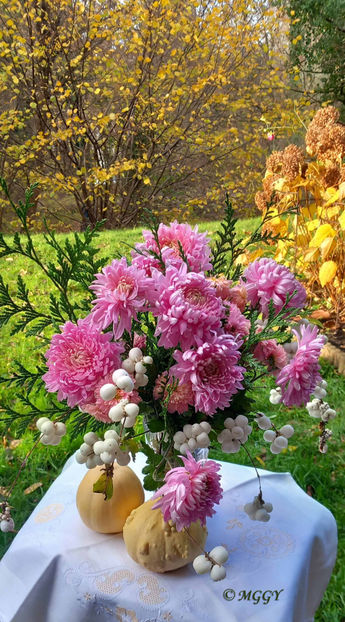 © - 01 - Floristica