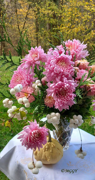 © - 01 - Floristica