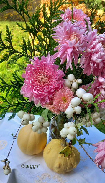 © - 01 - Floristica