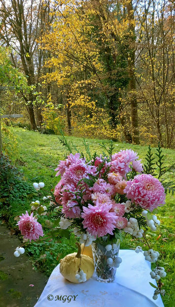 © - 01 - Floristica