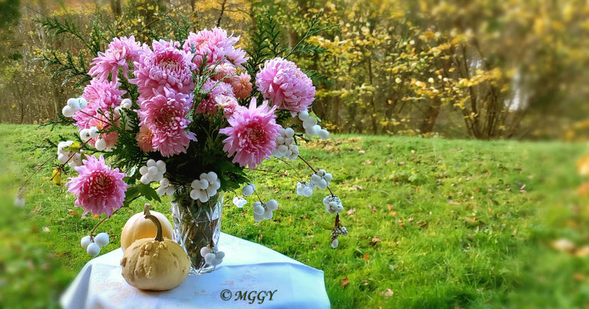 © - 01 - Floristica