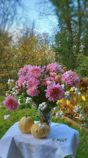 © - 01 - Floristica