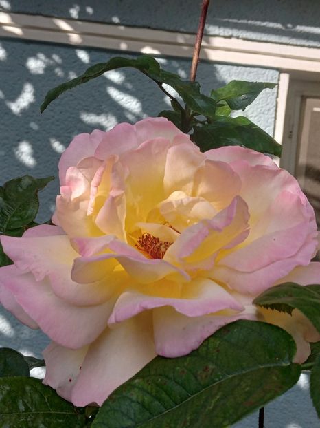  - SEPTEMBRIE-OCTOMBRIE - NOIEMBRIE