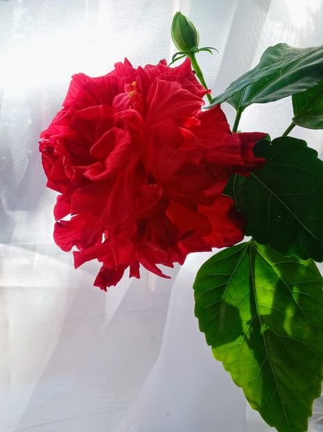 20251031_132503-EFFECTS - SEPTEMBRIE-OCTOMBRIE - NOIEMBRIE