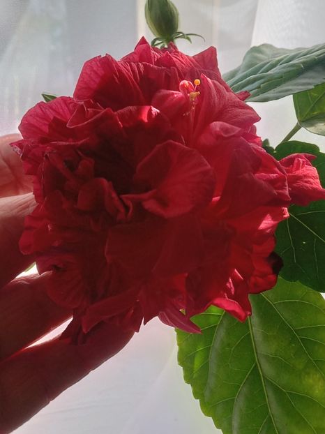  - SEPTEMBRIE-OCTOMBRIE - NOIEMBRIE