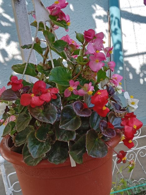  - SEPTEMBRIE-OCTOMBRIE - NOIEMBRIE