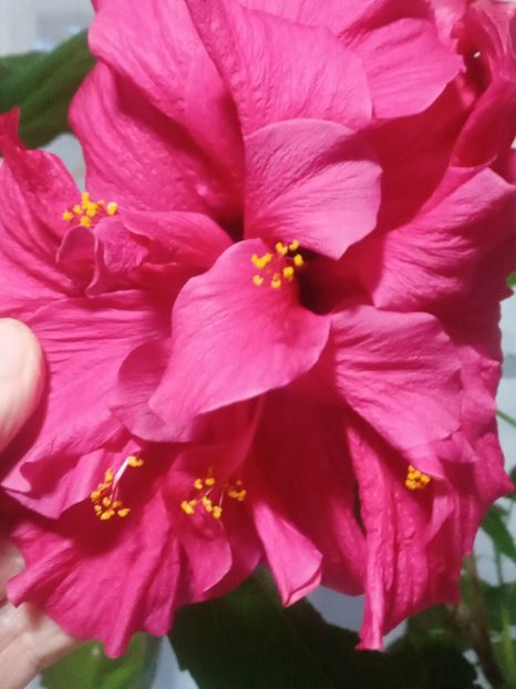  - SEPTEMBRIE-OCTOMBRIE - NOIEMBRIE