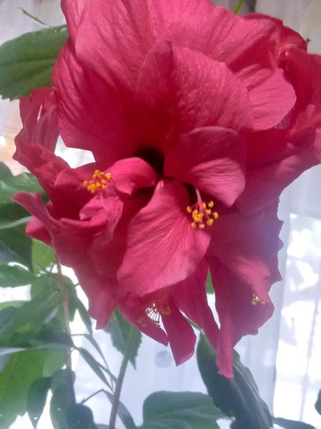  - SEPTEMBRIE-OCTOMBRIE - NOIEMBRIE