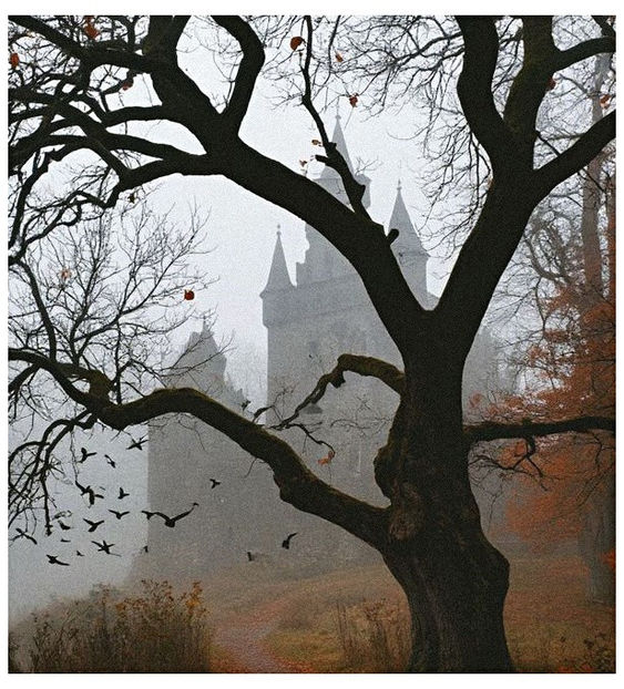 ♡ ɴᴏᴠᴇᴍʙᴇʀ 3 » - Incredibly Nostalgic