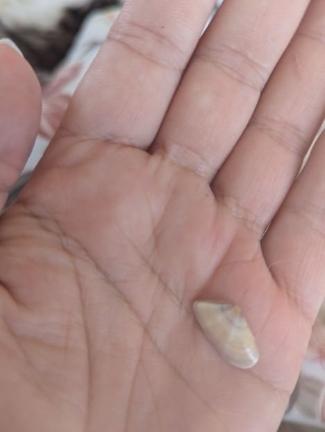 Mersi și pentru cele 180K de vizite - - 3 - 16 Years SP - 180K ---5---M---Views thanks - inolovesasu