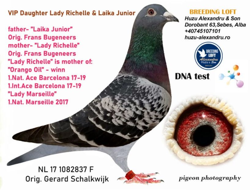 Bunica pe mama - Huzu Joko