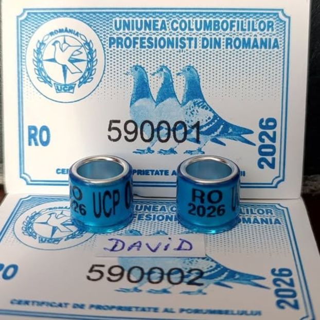 2026- UCP+ talon....-1,5 lei - 1 Inele porumbei 2026 de vanzare