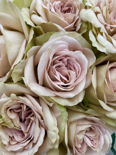  - CATALOG TOAMNA 2025