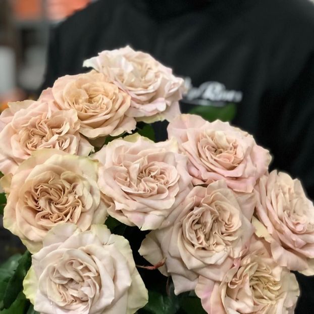  - CATALOG TOAMNA 2025