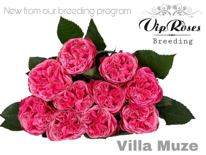  - CATALOG TOAMNA 2025