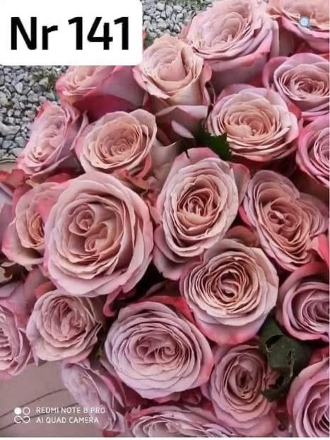  - CATALOG TOAMNA 2025