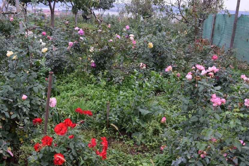  - CATALOG TOAMNA 2025