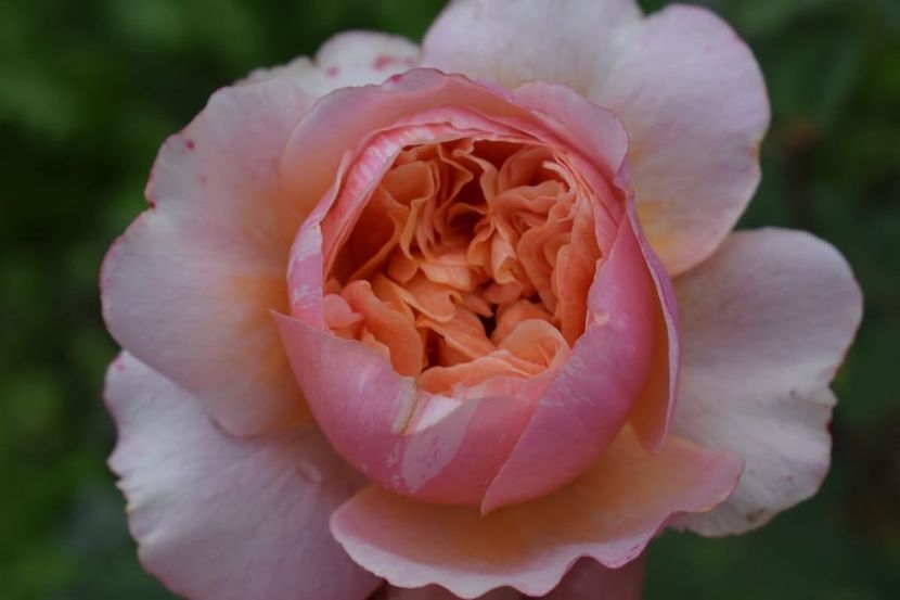  - CATALOG TOAMNA 2025