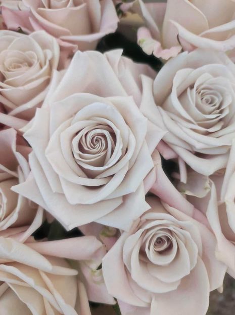  - CATALOG TOAMNA 2025