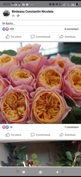  - CATALOG TOAMNA 2025