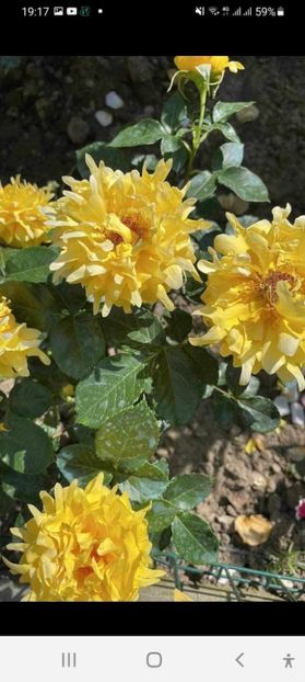  - CATALOG TOAMNA 2025