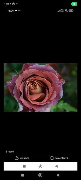  - CATALOG TOAMNA 2025