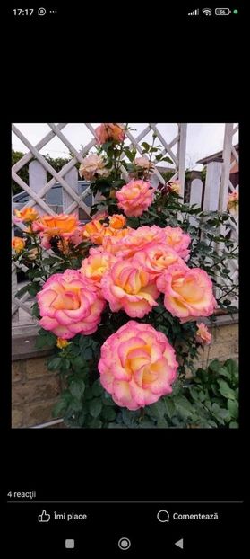  - CATALOG TOAMNA 2025