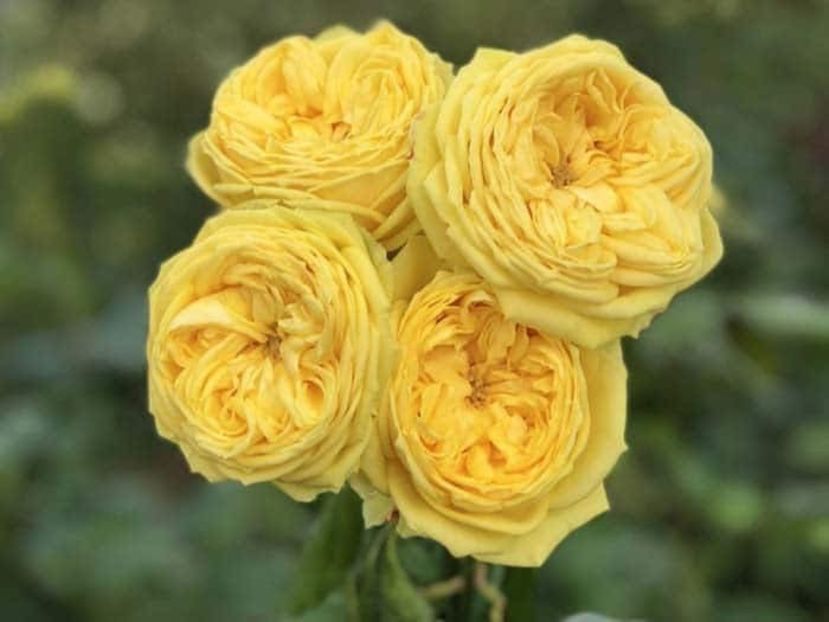  - CATALOG TOAMNA 2025