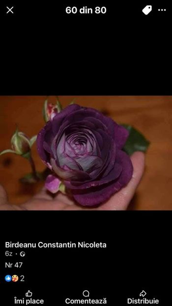  - CATALOG TOAMNA 2025