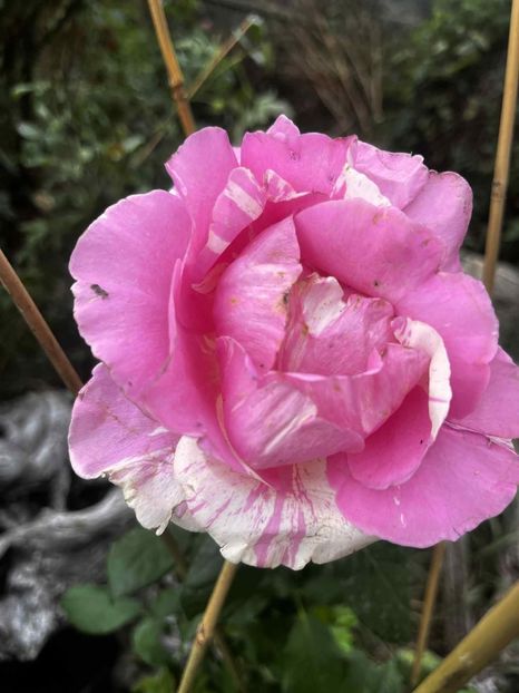  - CATALOG TOAMNA 2025