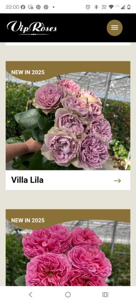 att.xAvZdSVrlqQAZtq3-mj0SFA6me1KmbPhR88LS6kGgEc.png - CATALOG TOAMNA 2025