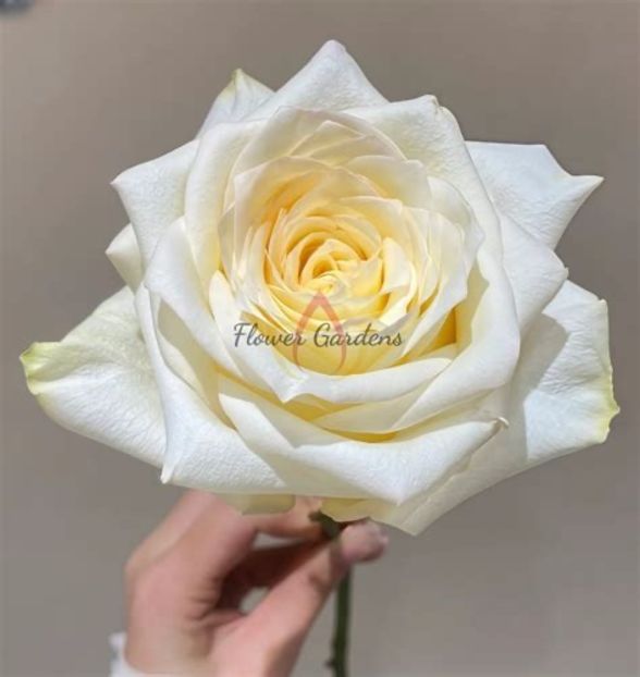  - CATALOG TOAMNA 2025