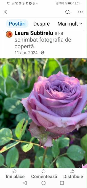 att.x3khyX3oAKeo9e4-0zoGUNey_7LlXpZWSBkNKNYz2Ho - CATALOG TOAMNA 2025