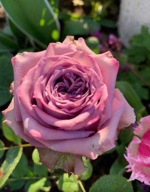  - CATALOG TOAMNA 2025