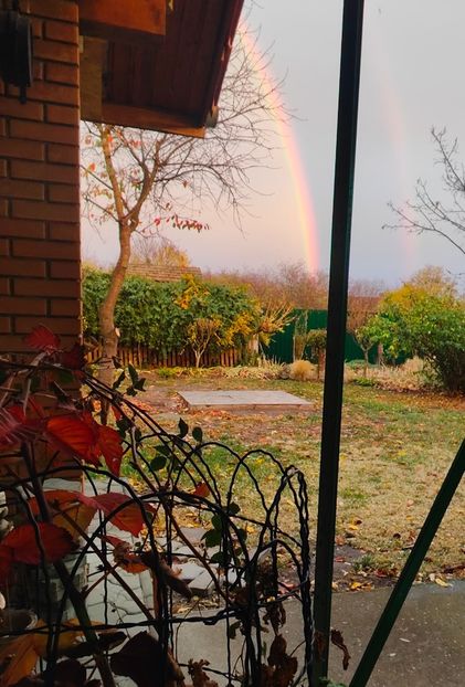 Noiembrie 2025 - Gradina si terasa PrimaLuce__11-Hello 2025