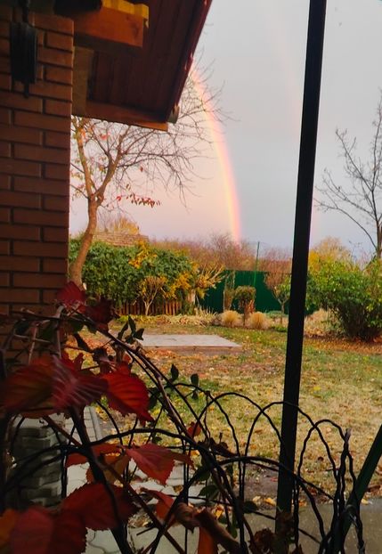 Noiembrie 2025 - Gradina si terasa PrimaLuce__11-Hello 2025