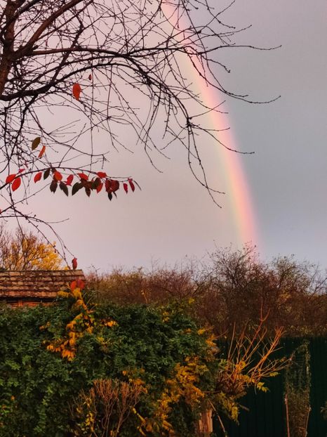 Noiembrie 2025 - Gradina si terasa PrimaLuce__11-Hello 2025