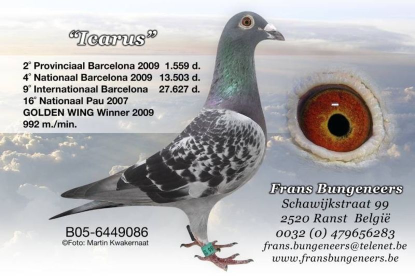 05-086_ ICARUS - Huzu Joko