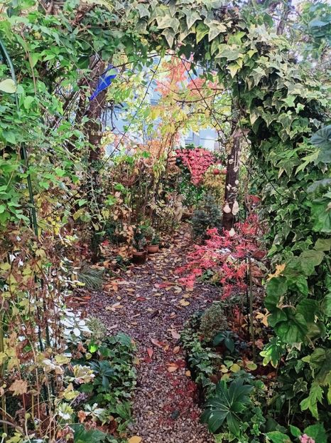 01.11.2025 - Grădina 2025 continuare 5