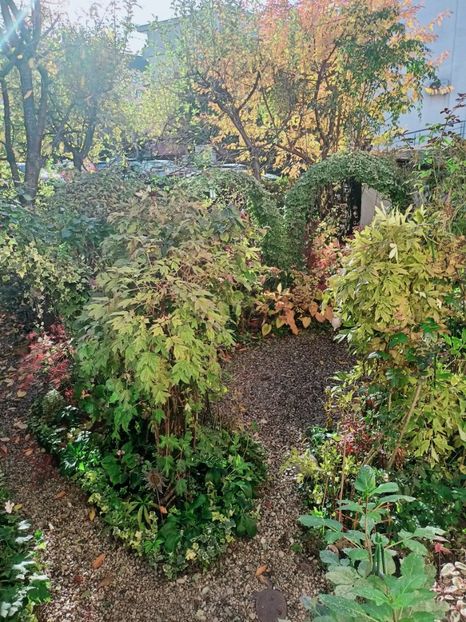  - Grădina 2025 continuare 5