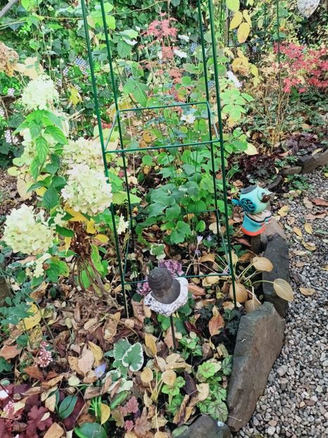  - Grădina 2025 continuare 5