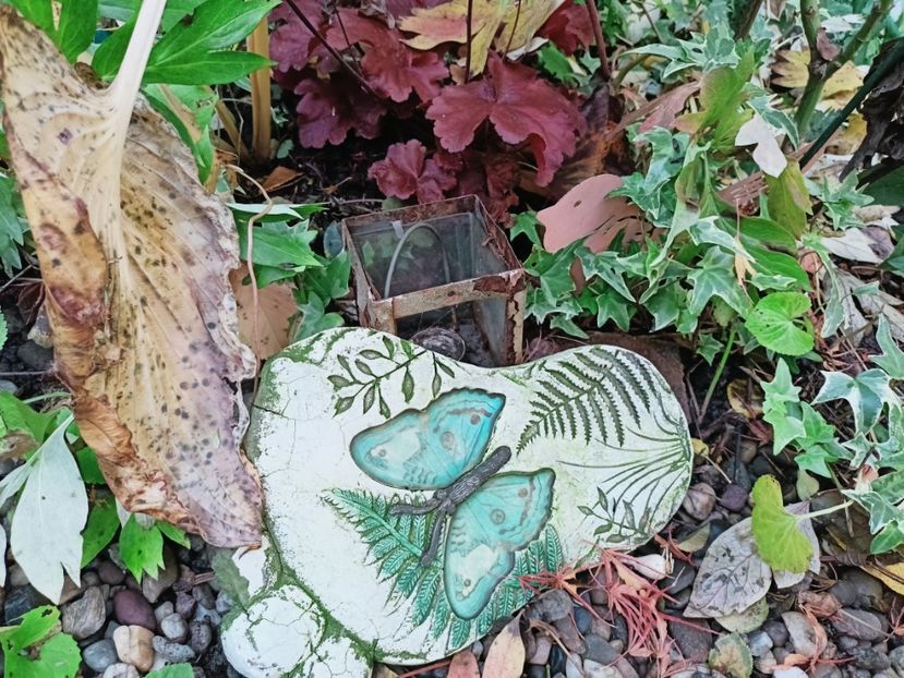  - Grădina 2025 continuare 5