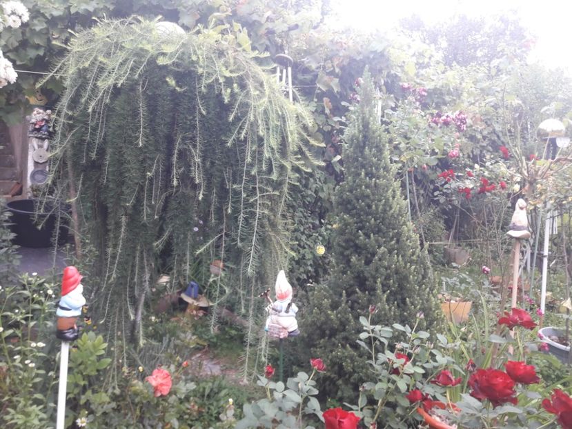  - PARTEA SAPTEA- TOAMNA-