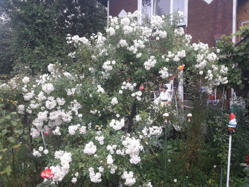  - PARTEA SAPTEA- TOAMNA-