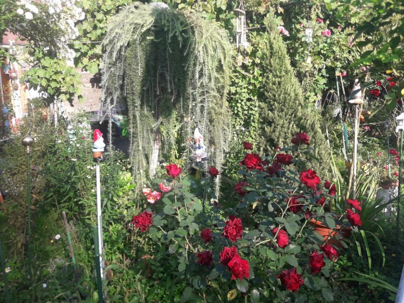  - PARTEA SAPTEA- TOAMNA-